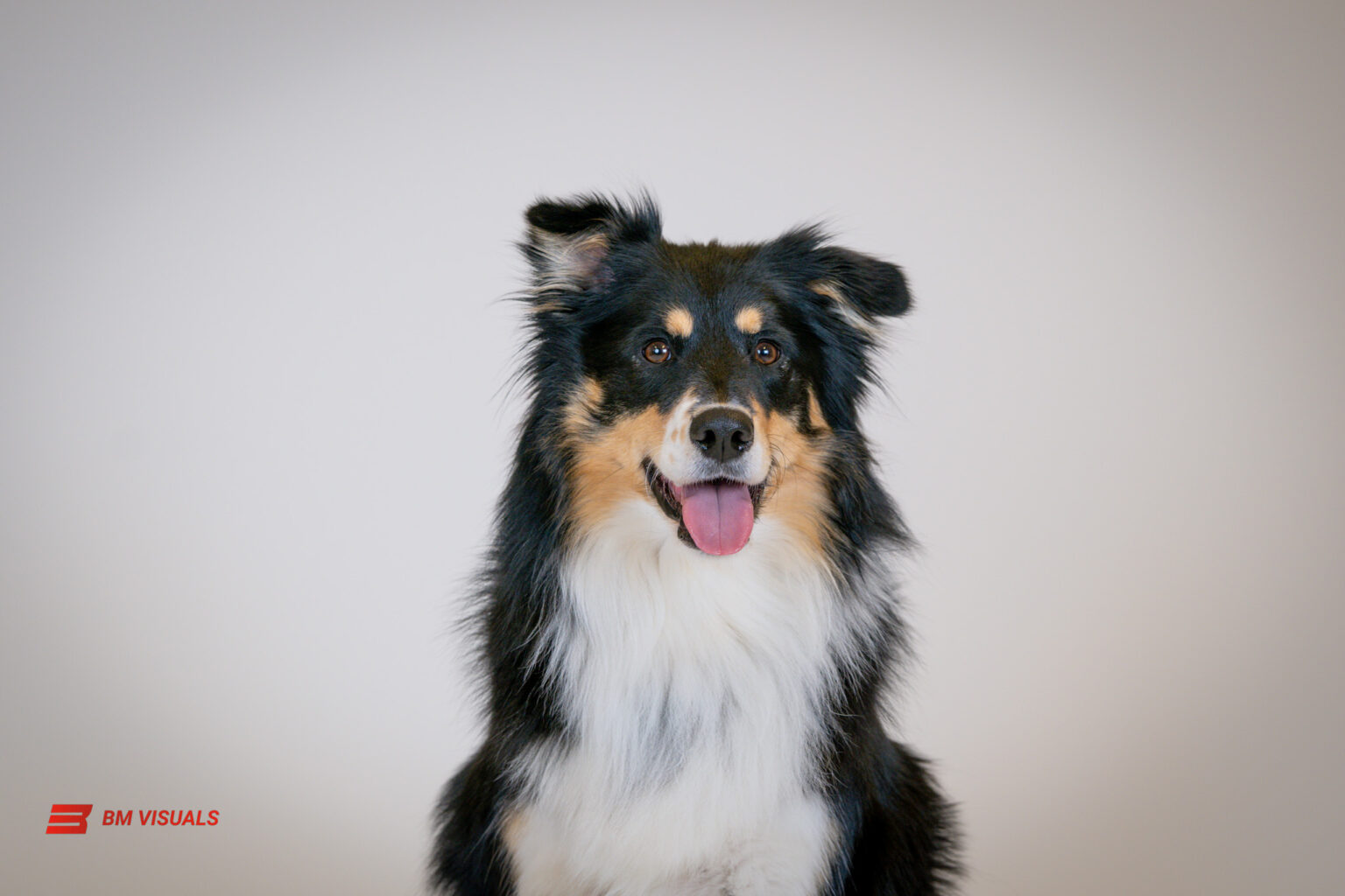 DSC00715-Enhanced-SR