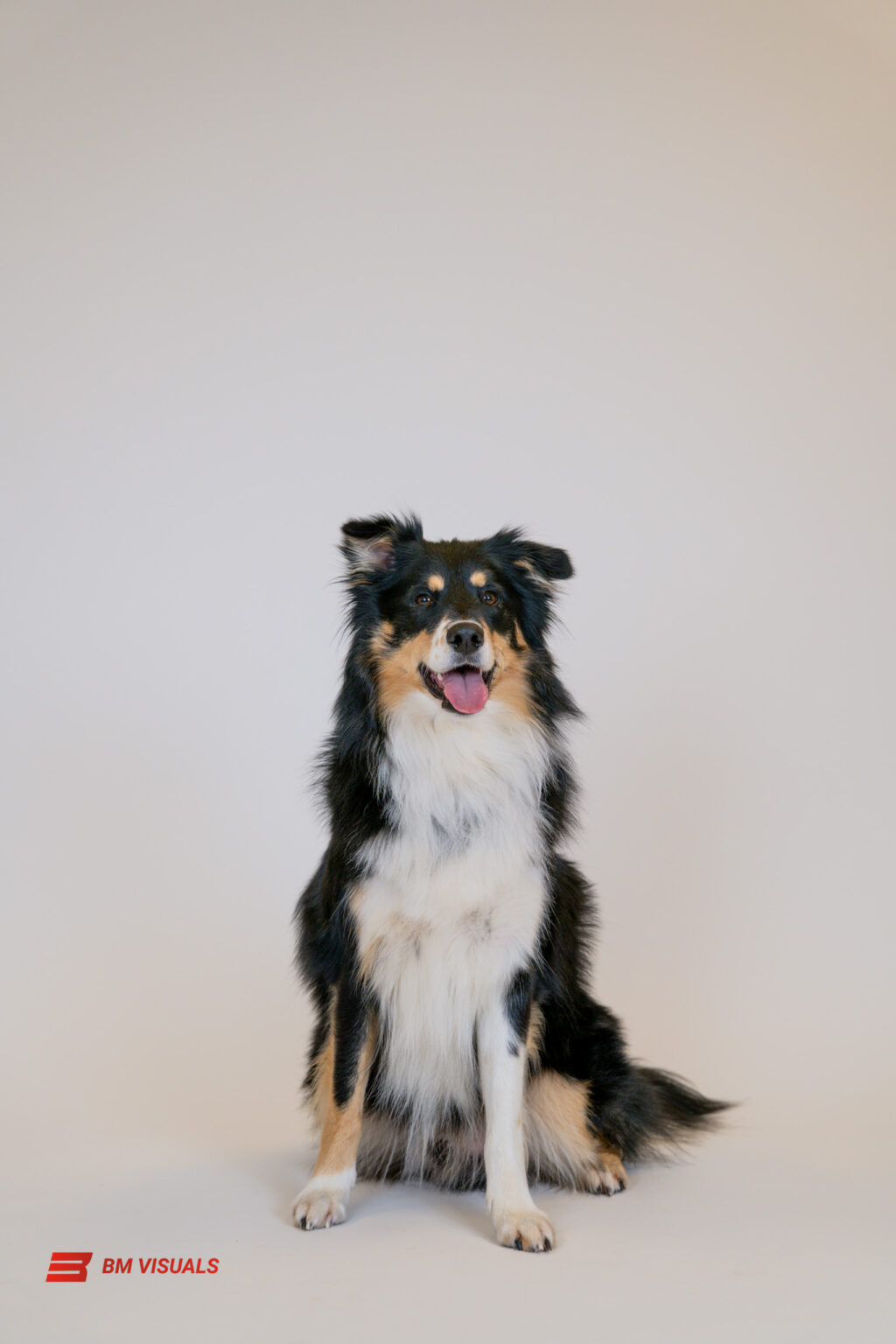 DSC00732-Enhanced-SR