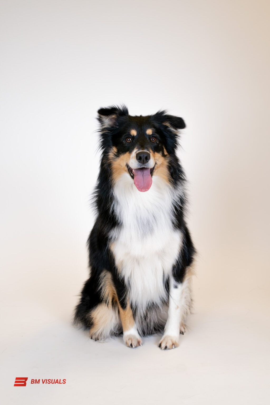 DSC00851-Enhanced-NR