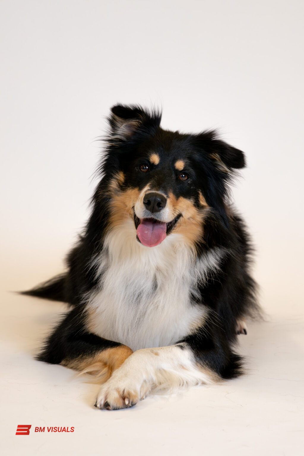 DSC00945-Enhanced-NR